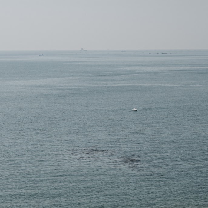 해운대 가야밀면 representative image