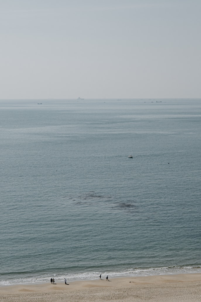 해운대 가야밀면 representative image